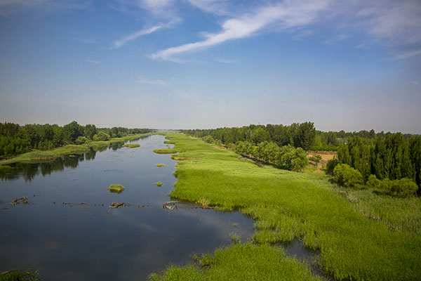 湿地生态环境监测系统方案